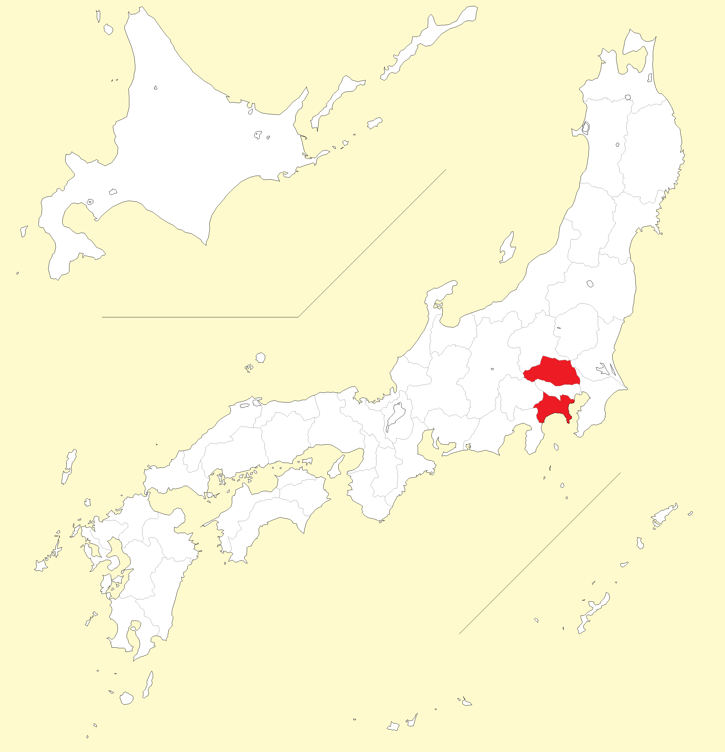 チャイロハススジハマダラミバエ